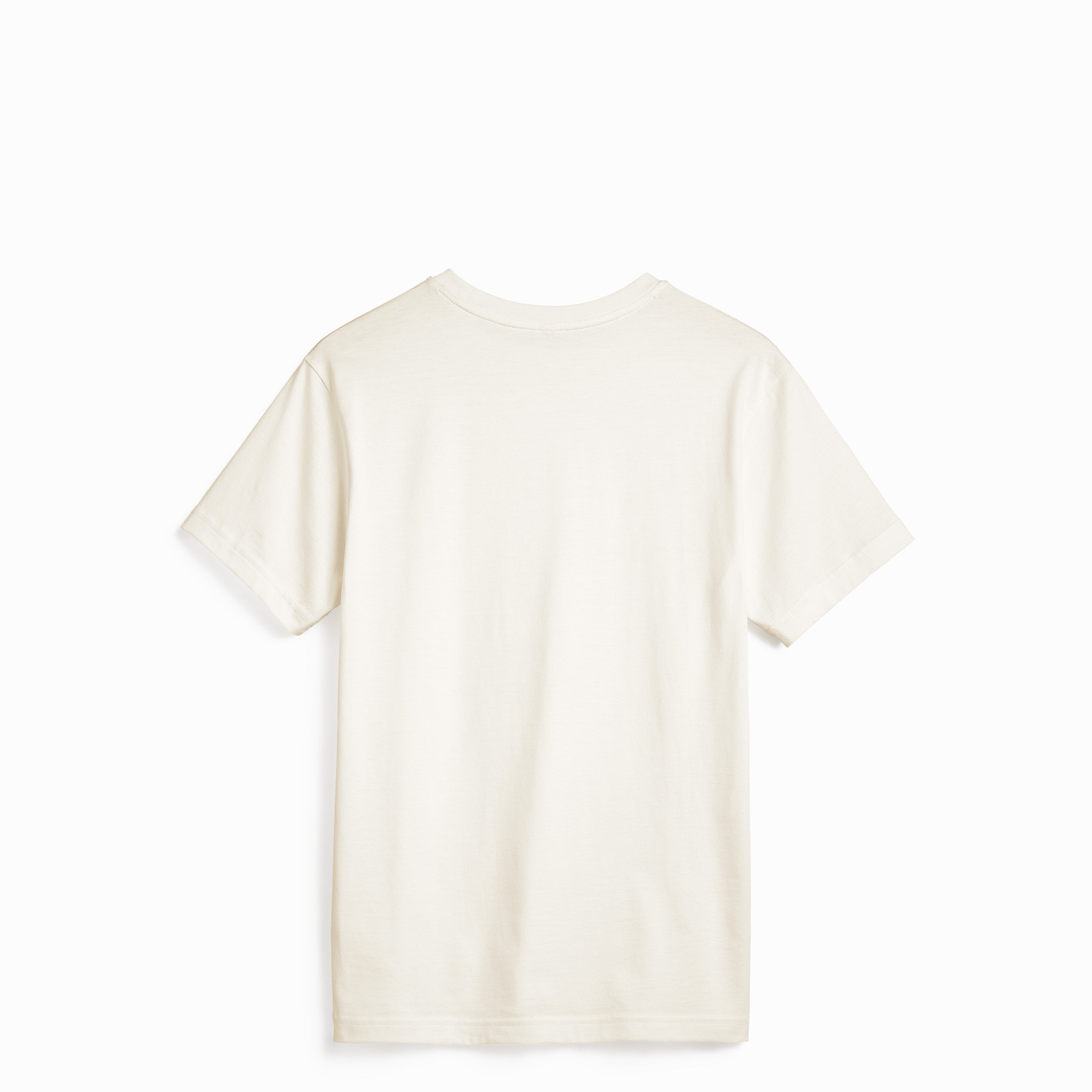 Sustainable Blank T-Shirts